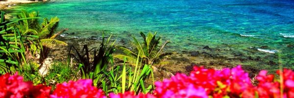 JennyCircello Profile Banner