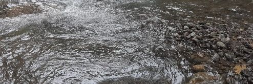 İlknur Aydoğan 🇹🇷 banner