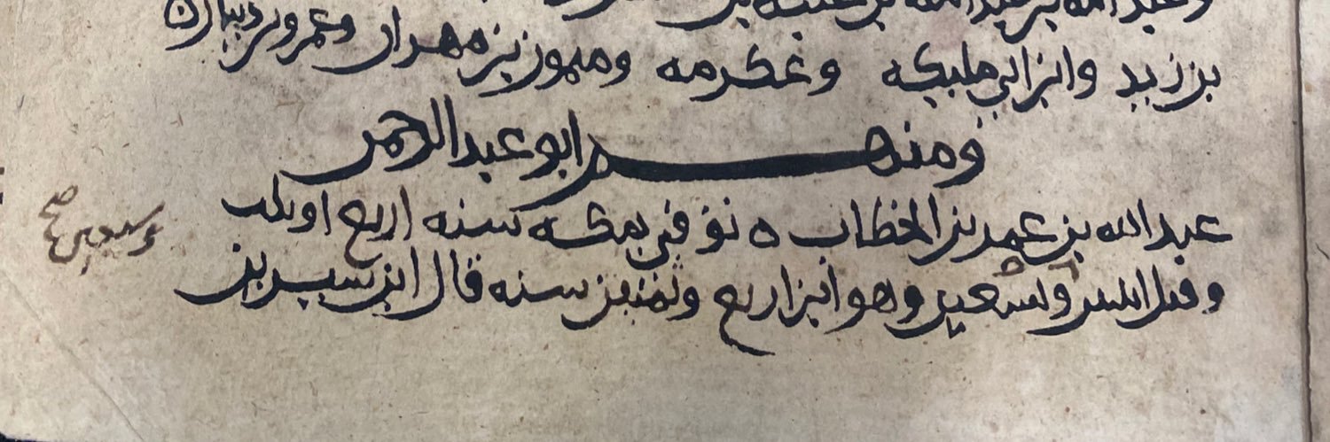 عمرو عبد العظيم الحُوَيني banner