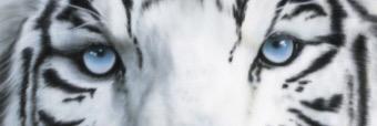 hatziry_25's profile banner image