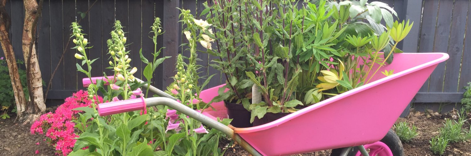 pinkwheelbarrow's profile banner image