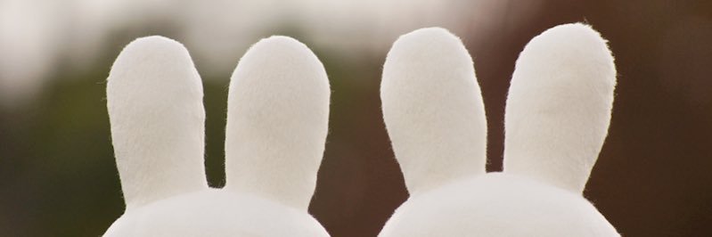 ch2_16's profile banner image