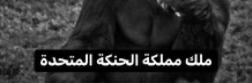 R banner