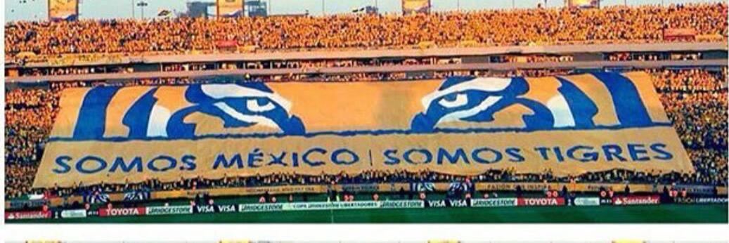 diegoDlaFuente's profile banner image
