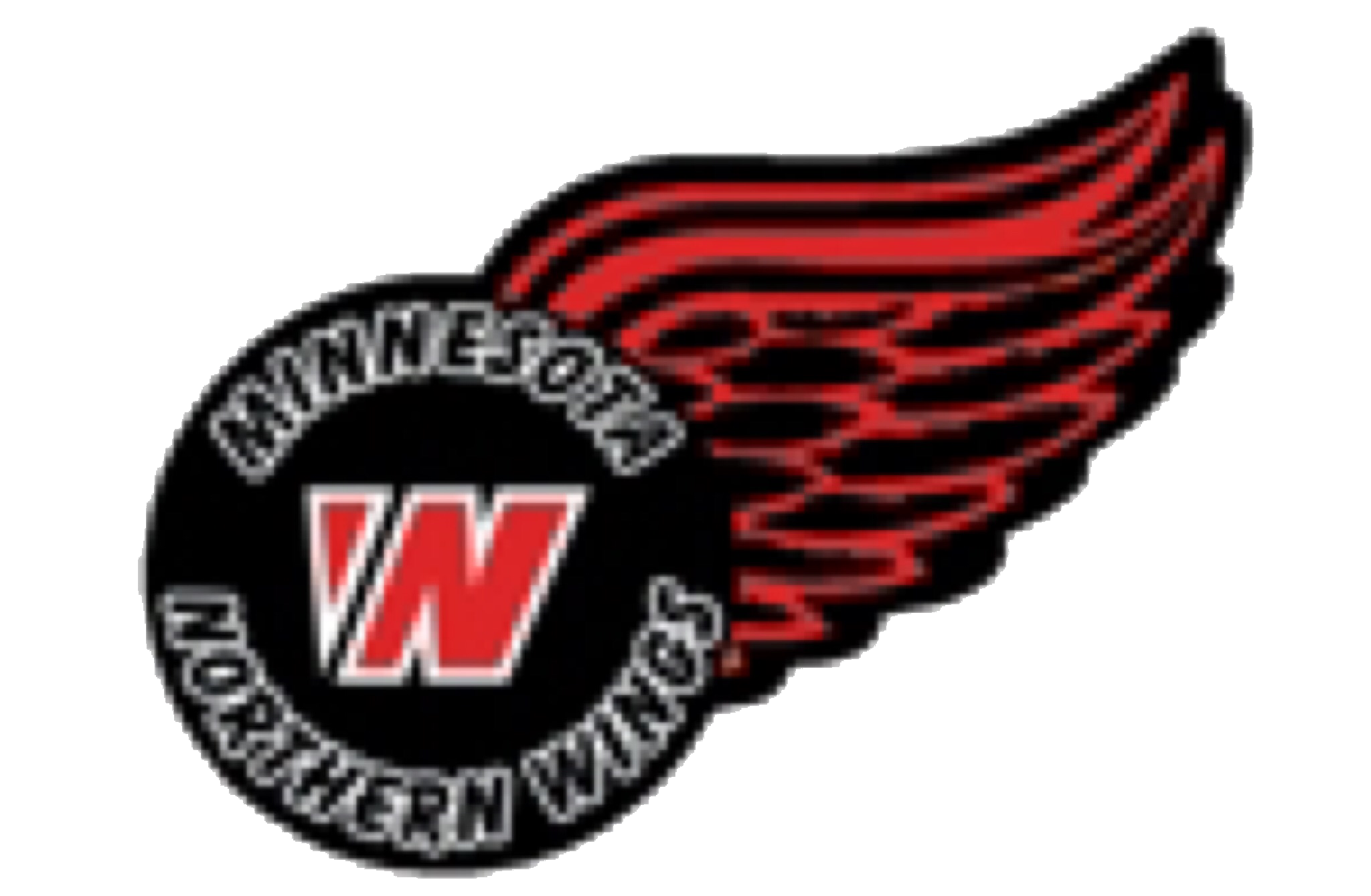 mn_wings's profile banner image