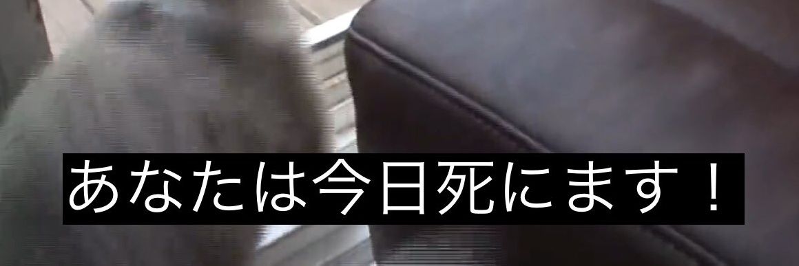 mado's banner