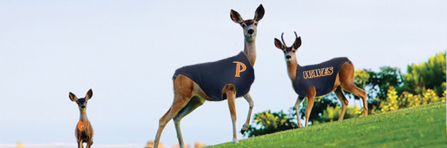 YAPEPPDEER's profile banner image