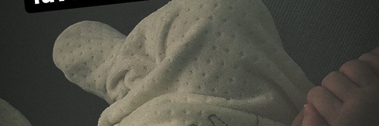 pomholliday's profile banner image