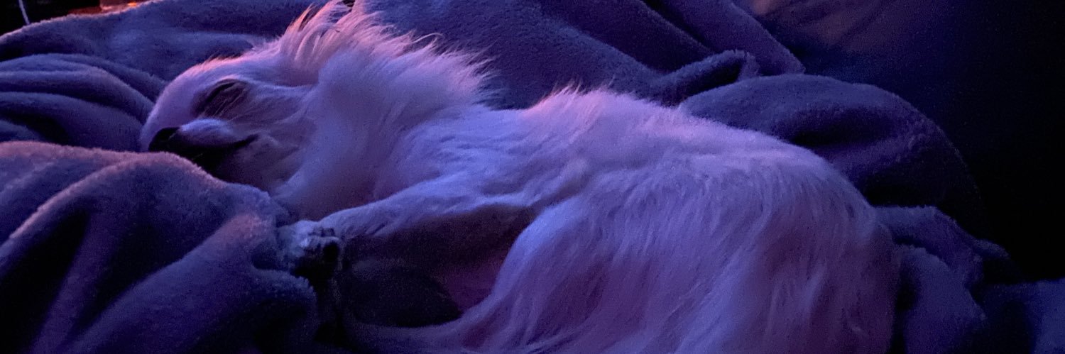 CharlesJustinW's profile banner image