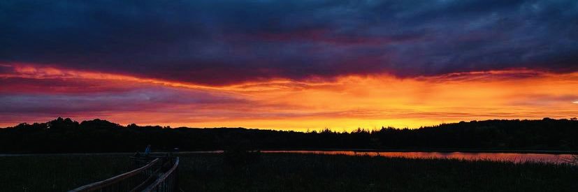 🪷Lily Blessed🪷🦉🌅 banner