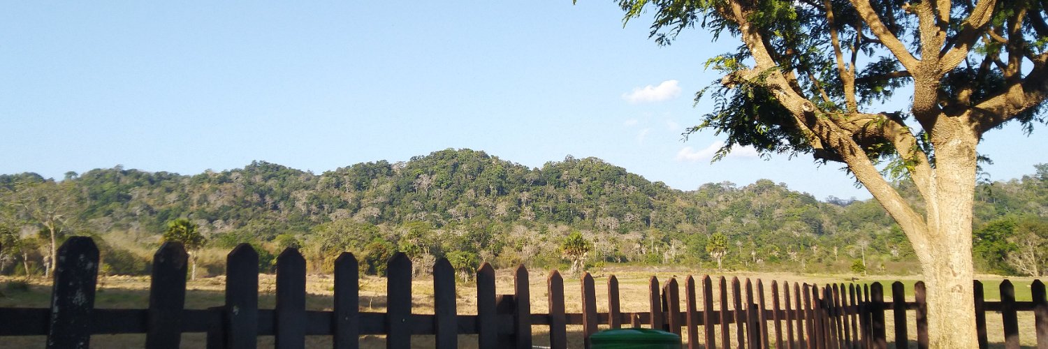Ricasmukti's profile banner image
