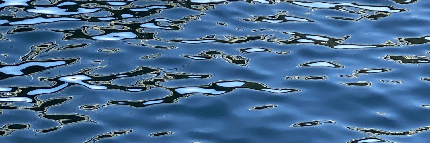 -|-|-|-SWIM-|-|-|- banner