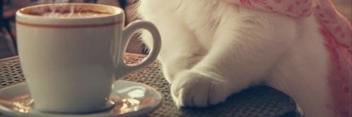 آقا ماهان banner