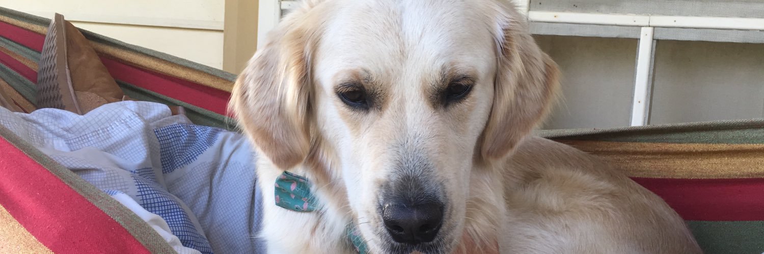 Melvyn Deering banner