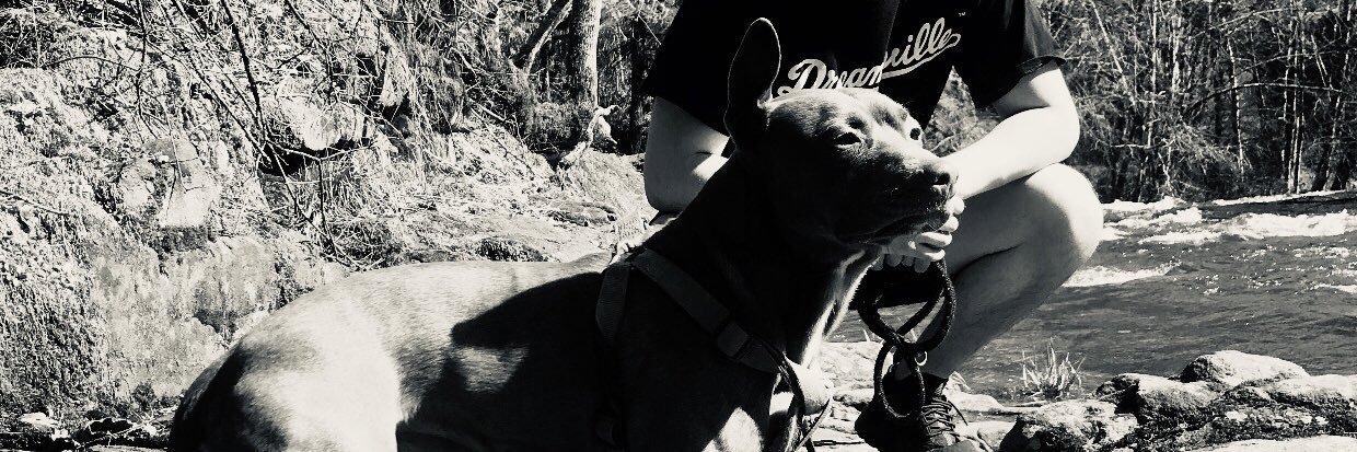 Lalovv79's profile banner image