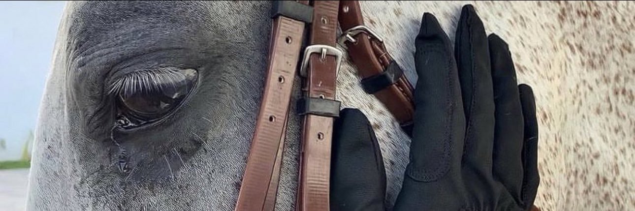 Different's banner