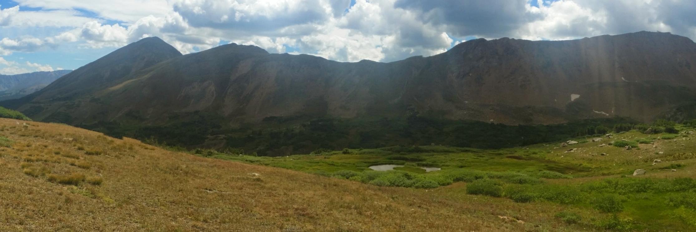 Darlene Tad-y banner