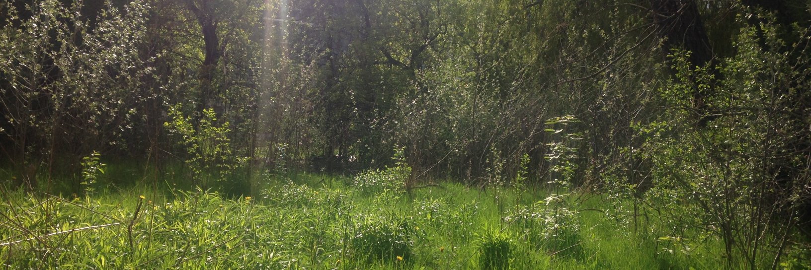 ゆか@Web Growth・SEO banner