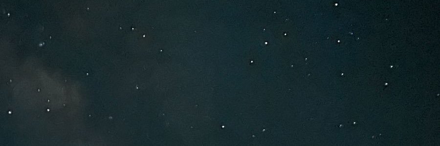 Andy🥀 banner