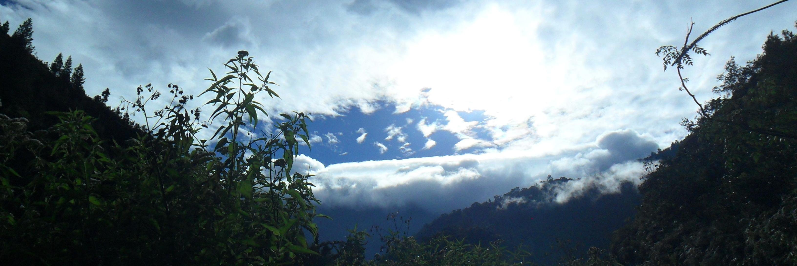 dhikadyr's profile banner image