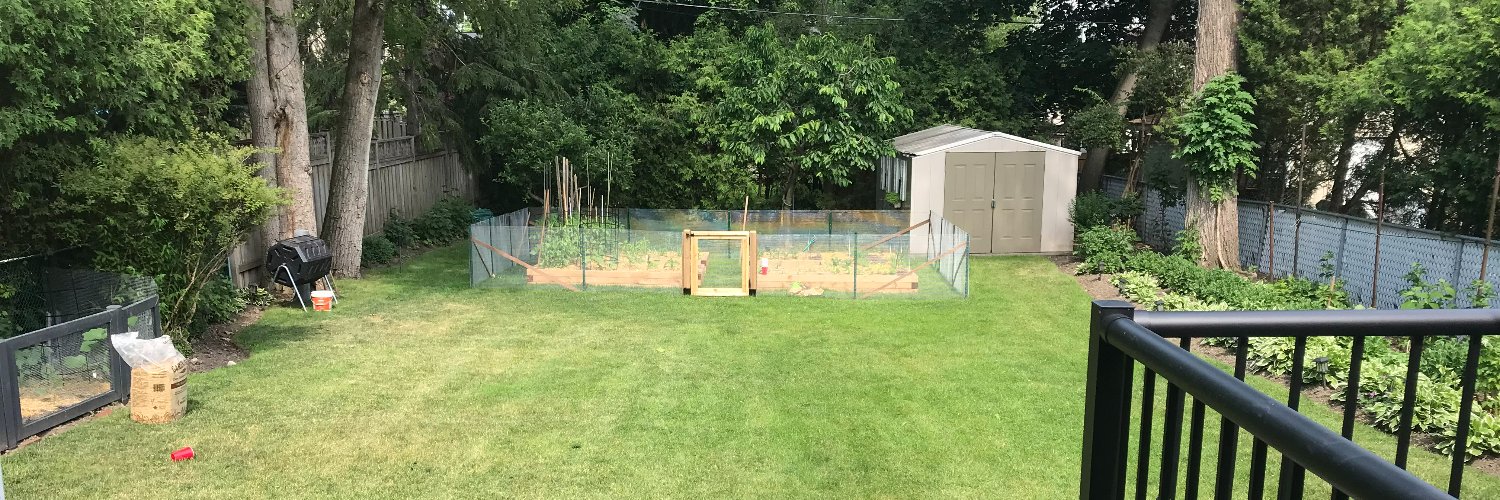 Isabel B. Rodrigues PhD, MSc banner