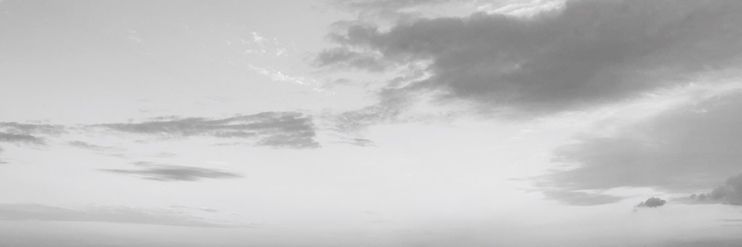 C_REIN_E's profile banner image