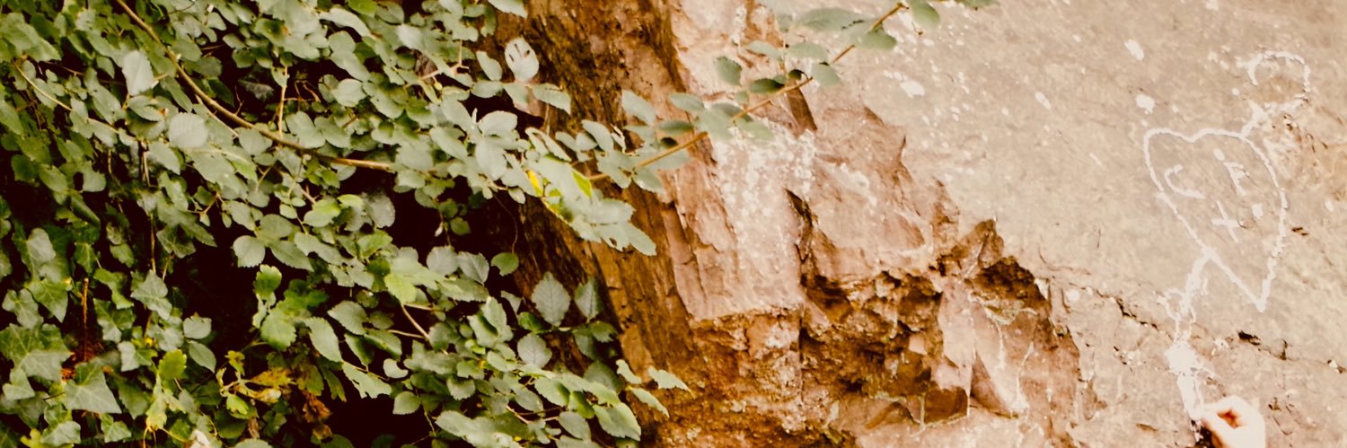 dadipick's profile banner image