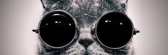 ersanyildizz1's profile banner image