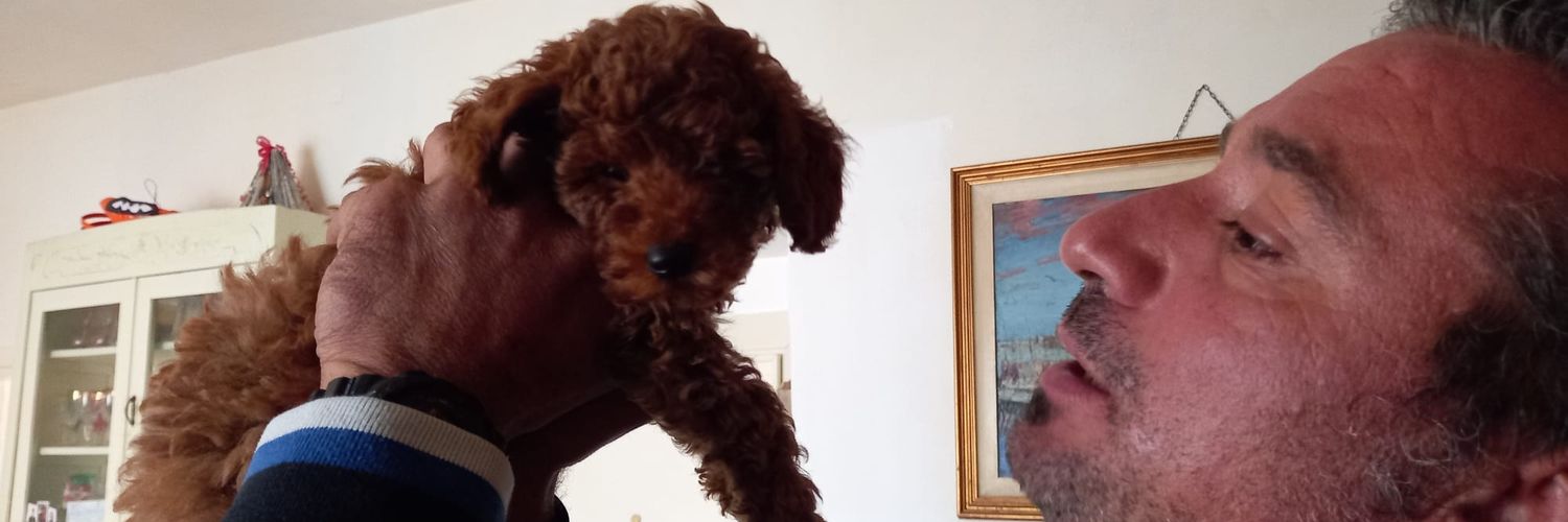 Labominevole's profile banner image