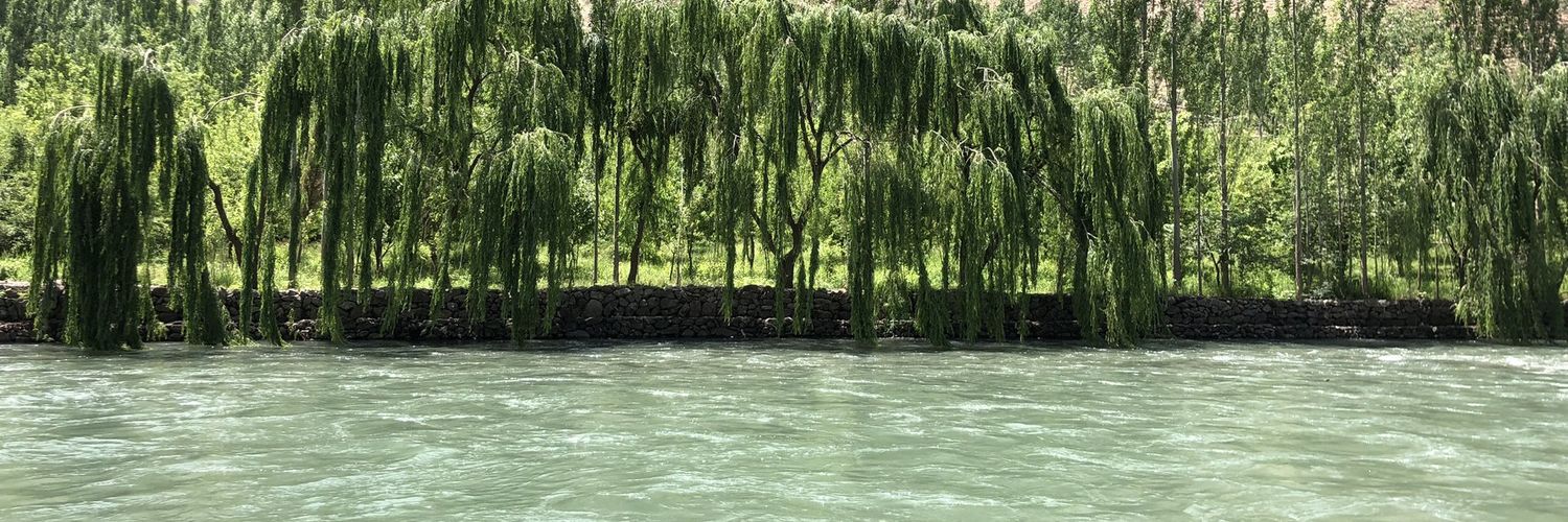 Mir Abdullah Burhani banner