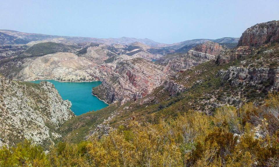 Iván Castellar banner