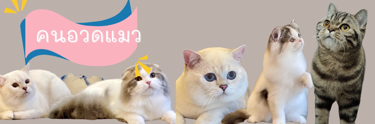 PNattapa's profile banner image