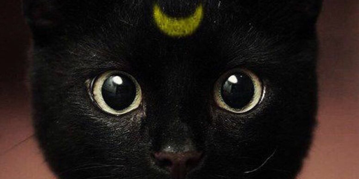 redlacuna's profile banner image