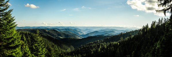 IObert_ Profile Banner