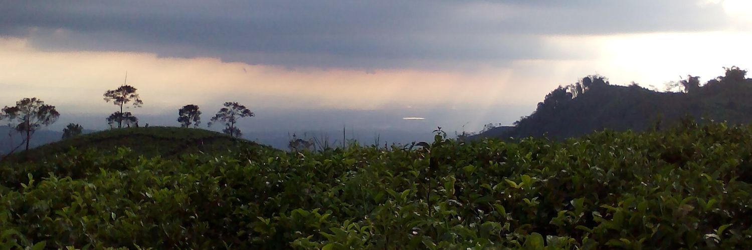 pangestiarum's profile banner image