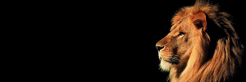 Paweł Broniewicz banner