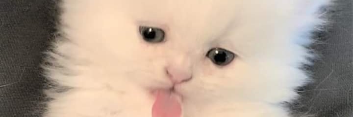 MIMILRR's profile banner image
