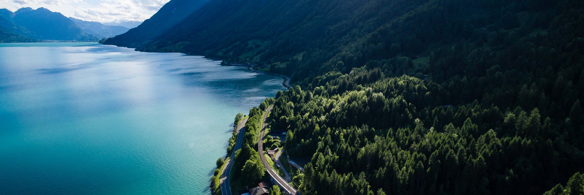 Annika Bulgrin banner