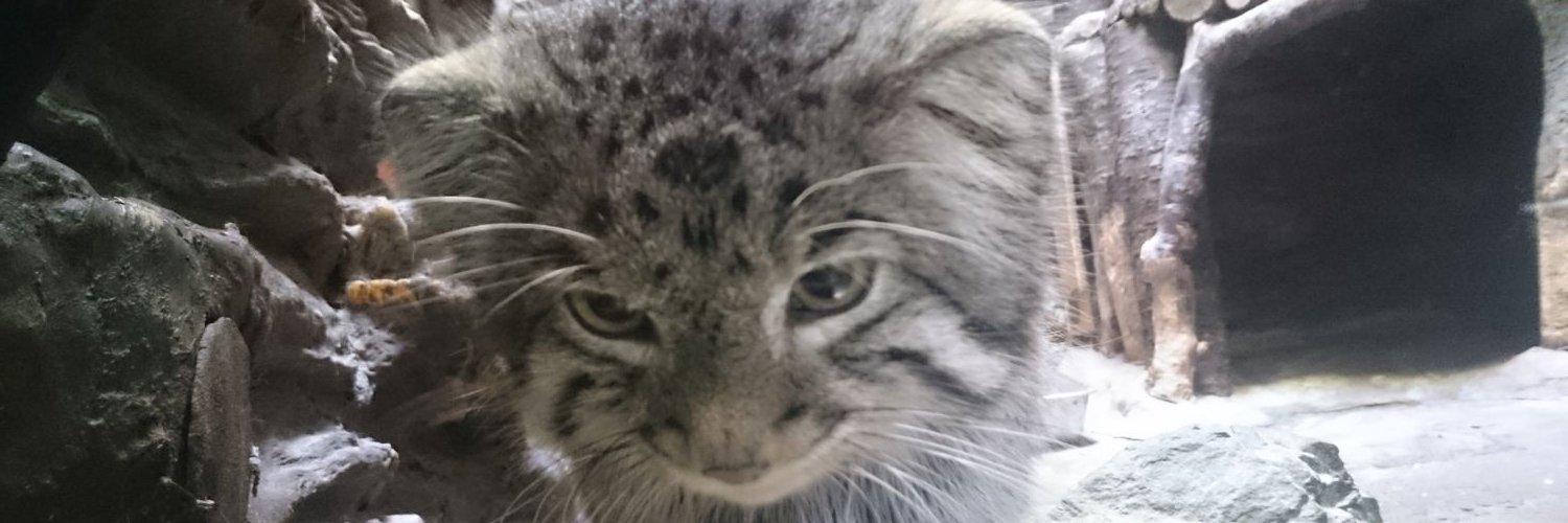 愛ノ優待投資家なつみたそ。 banner