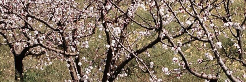 AnnaBaucina's profile banner image
