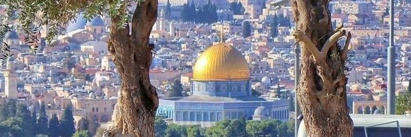 AbdAlhamed_kotb Profile Banner