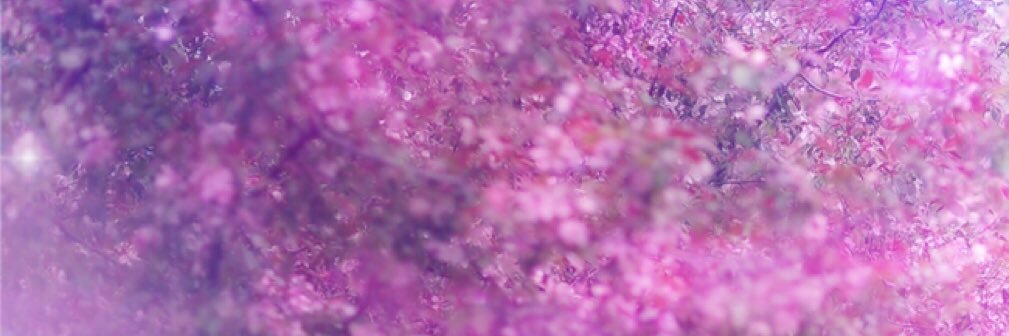 _AppleofGodsEye's profile banner image