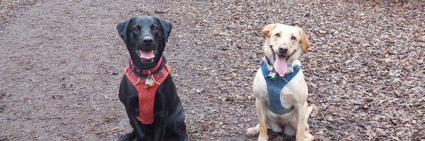 laird154 Profile Banner