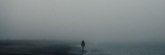 Svetka Krayevsky banner