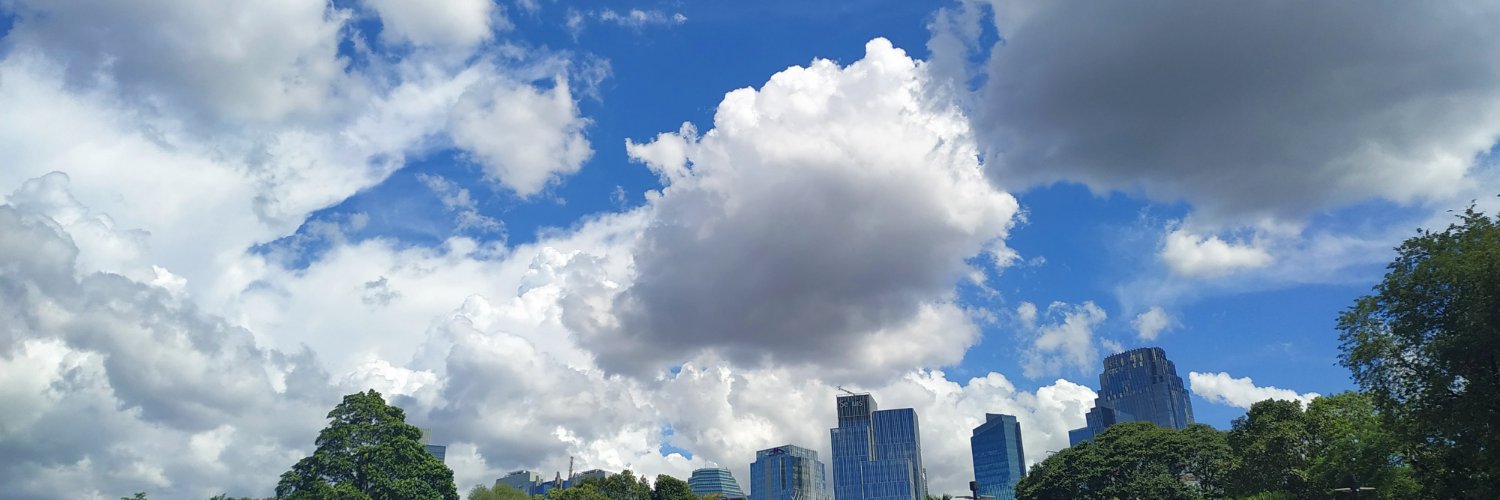 juliaSSJ's profile banner image