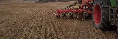 Eusebio Miguel banner