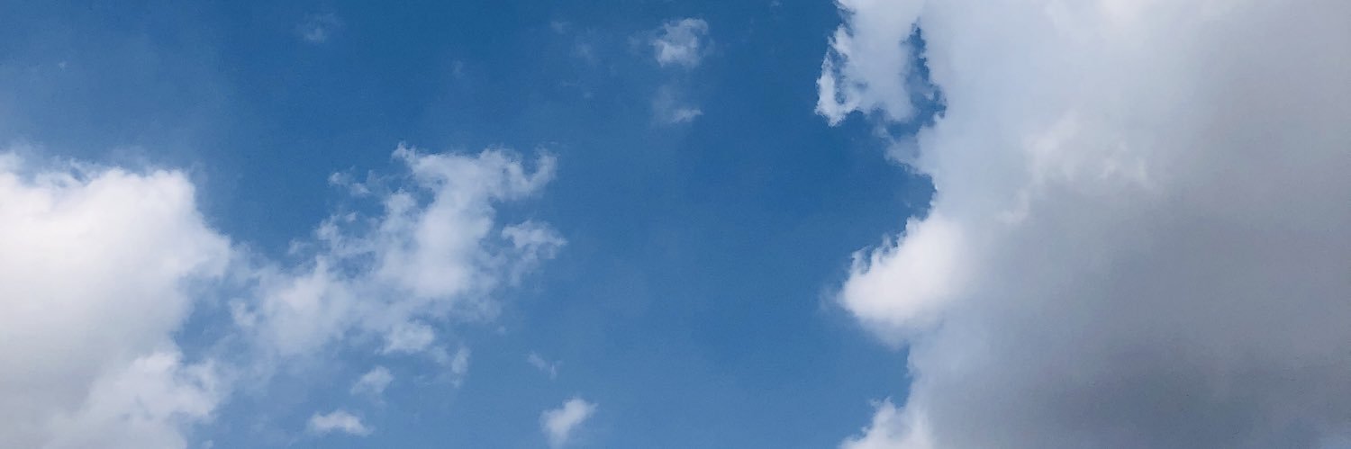 delightseop's profile banner image