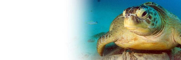 PlasticBusters Profile Banner