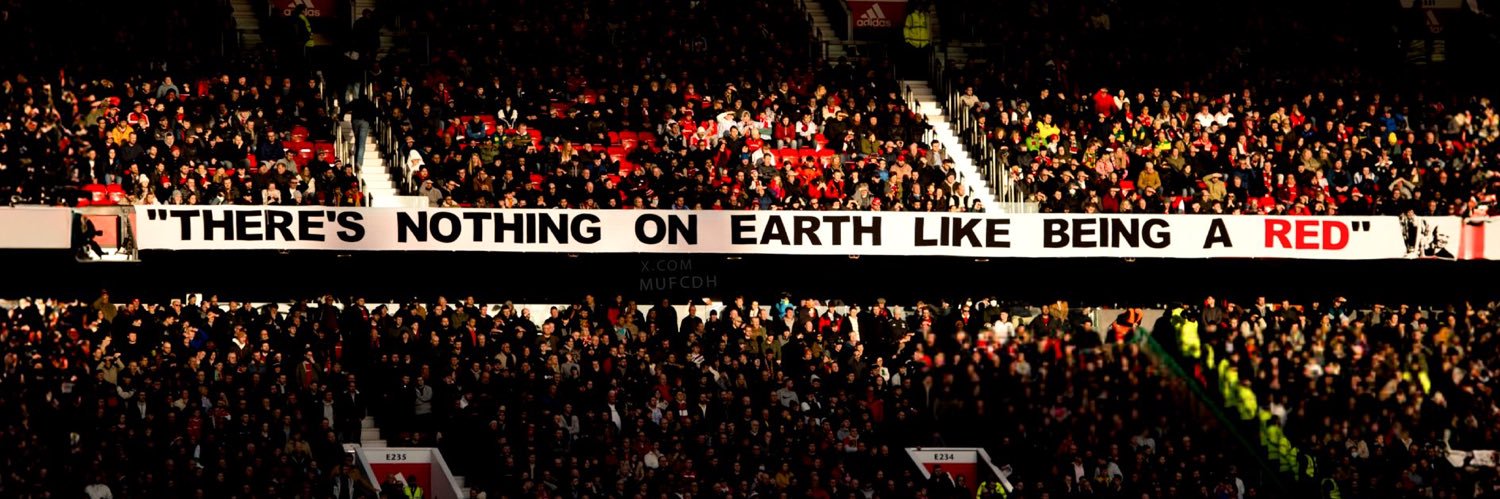 Finnexy Fessy Festus banner