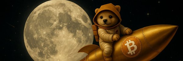 PaddyMcCrypto Profile Banner